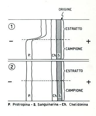 Schemi dei lavori degli estratti alcaloidi