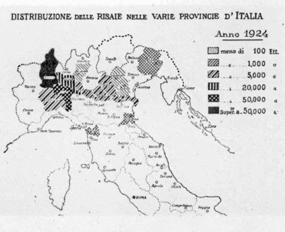 Cartogramma riguardante la distribuzione delle risaie nelle varie provincie d'Italia