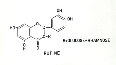 Formula della rutina