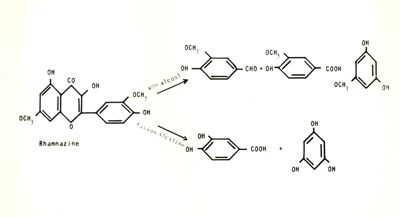 Chimica delle autoxantine