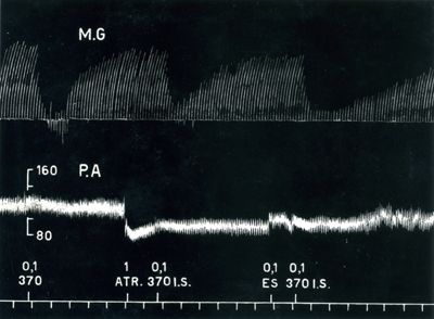 Azione dell'atropina e dell'eserina sul 370 I.S.