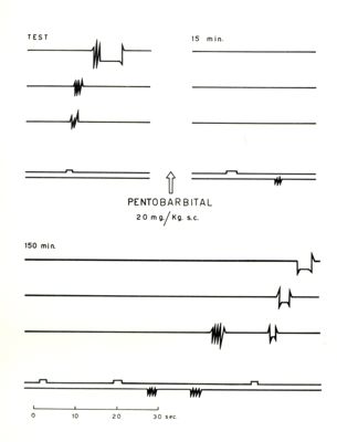 Pentobarbital