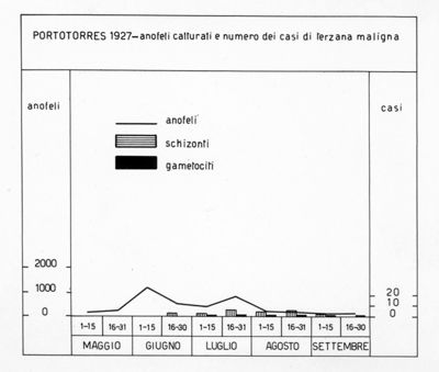 Diagramma riguardante il numero degli anofeli catturati e il numero dei casi di terzana maligna a Porto Torres nel 1927