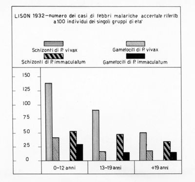 Diagramma riguardante il numero dei casi di febbre malariche accertate e riferito a 100 individui dei singoli gruppi di età a Lison nel 1932