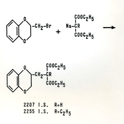 Derivati del 1-4 benzodiossano