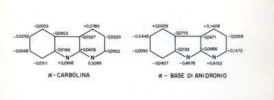 Lavoro sulla struttura delle basi di anidronio