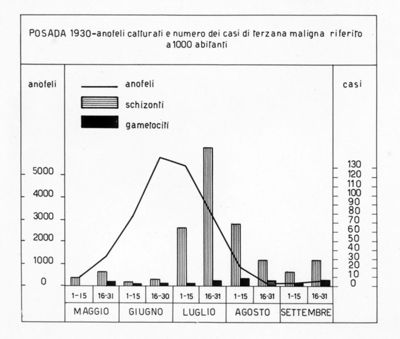Diagramma riguardante il numero degli anofeli catturati nel 1930 a Posada e il numero dei casi di terzana maligna riferito a 1000 abitanti