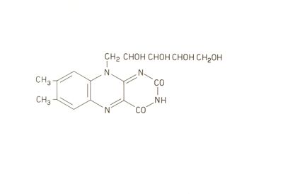 Riboflavina