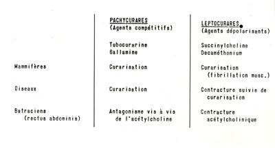 Farmacologia dei curari di sintesi