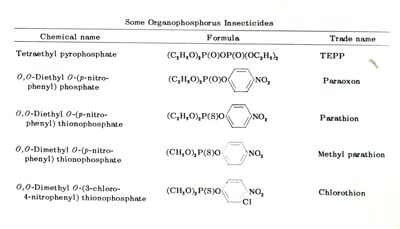 Farmacologia e tossicità degli insetticidi