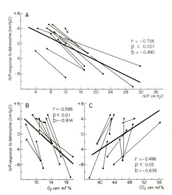 Circolazione cerebrale e gas del sangue