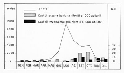 Diagramma riguardante la Malaria e gli Anofeli nel Nord d'Italia