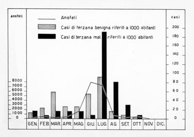 Diagramma riguardante la Malaria e gli Anofeli a Posada
