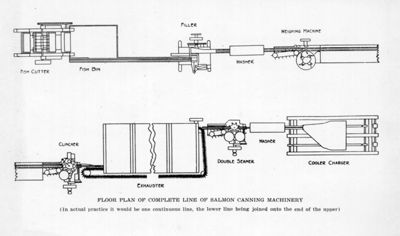 Schema d'impianto per la lavorazione del salmone in scatola
