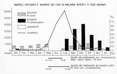 Diagramma riguardante gli Anofeli catturati e il numero dei casi di Malaria a 1000 abitanti
