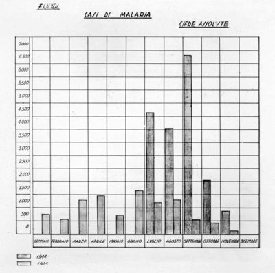 Diagramma riguardante i casi di malaria a Fondi (Littoria)