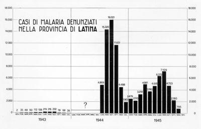 Diagramma riguardante i casi di Malaria denunciati nella provincia di Latina