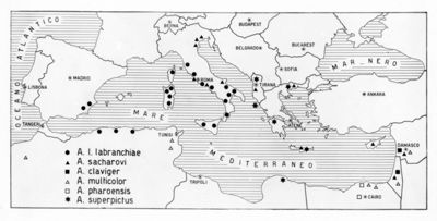 Cartogramma riguardante la distribuzione delle varie specie di zanzare in Europa