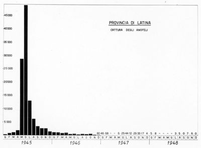 Diagrammi riguardanti diversi fenomeni nella Provincia di Latina nel quadriennio 1945-1948