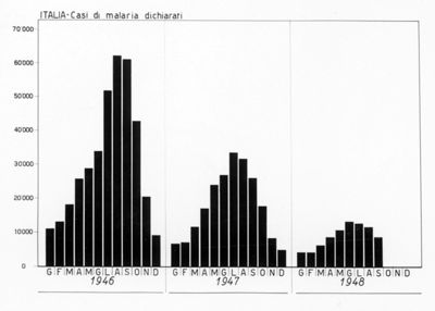 Diagramma riguardante i casi di Malaria in Italia