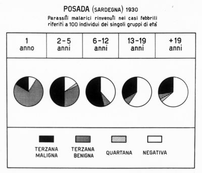 Diagramma riguardante i parassiti malarici rinvenuti nei casi febbrili riferiti a 100 individui dei singoli gruppi di età a Posada (Sardegna)
