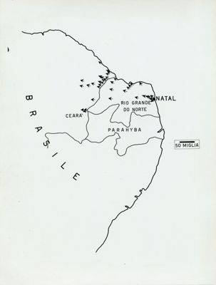 Grafico raffigurante l'invasione del Brasile da parte delle Anofele gambiae