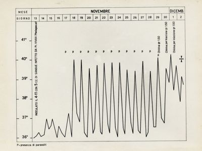 Diagramma riguardante un paralitico inoculato con plasmodium vivax