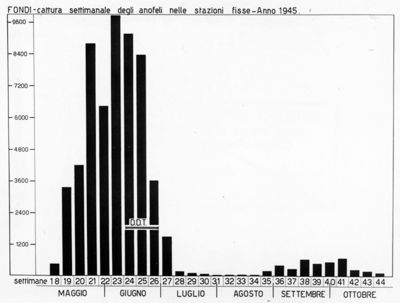 Diagramma riguardante la cattura settimanale degli anofeli nelle stazioni fisse - anno 1945