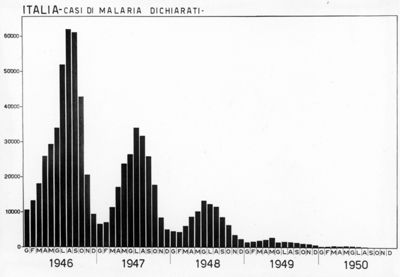 Diagramma riguardante i casi di Malaria dichiarati