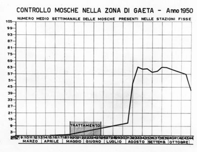 Diagramma riguardante il controllo delle mosche nella zona di Gaeta - anno 1950