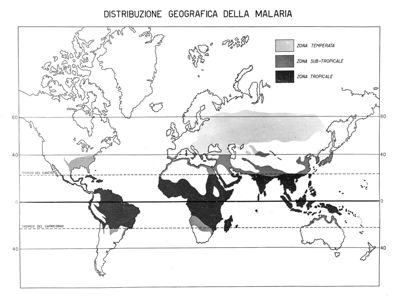 Cartogramma riguardante la distribuzione geografica della Malaria nel mondo