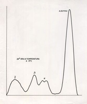Grafici riguardanti l'agglutinazione con siero attivo e siero non attivo