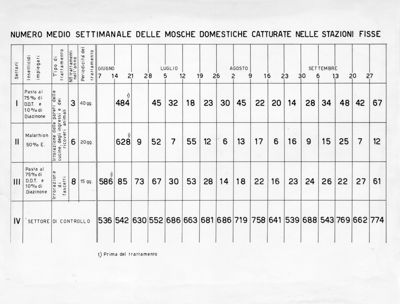 Numero medio delle mosche domestiche catturate nelle stazioni fisse.