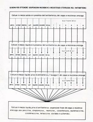 Schema per ottenere sospensioni microbiche e resistenza eterologa agli antibatterici.