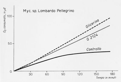 Consumo di 02 misurato al Warburg. I Warburg sono una importante famiglia di ebrei statunitensi di origine tedesca noti per attività in botanica e biochimica.