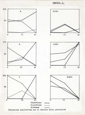 Diagramma di alghe