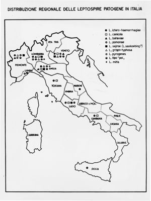 Cartogramma riguardante la distribuzione regionale delle Leptospire Patogene in Italia