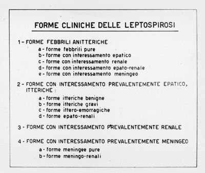 Tabella riguardante le forme cliniche delle Leptospire