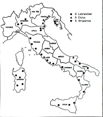 Cartogramma raffigurante la diffusione delle varie razze di Anopheles maculipennis in Italia