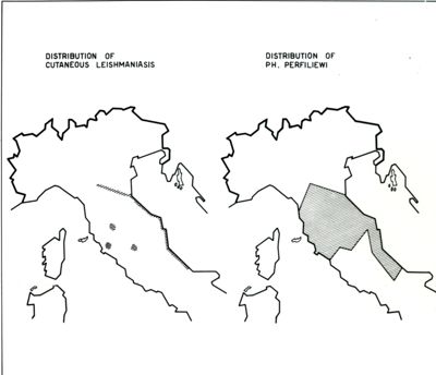 Leishmaniosi nell'Italia del Nord e del Centro