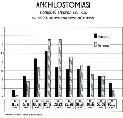 L'anchilostomiasi è una infezione che nell'uomo è causata da 2 specie di vermi uncinati del phylum dei Nematodi