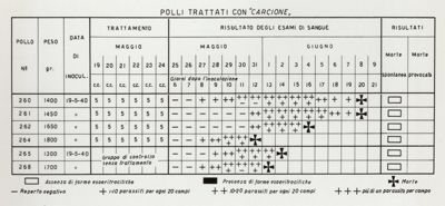 Tabella riguardante i polli trattati con "carcione"