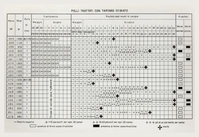 Tabella riguardante i polli trattati con tartaro stibiato
