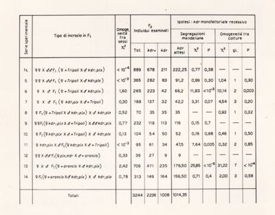 Segregazioni mendeliane del carattere K.D.R. (Resistenza dell'abbattimento)