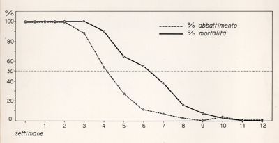 Diagramma riguardante le prove biologiche su mattoni di fango inviati
dall'O.M.S.