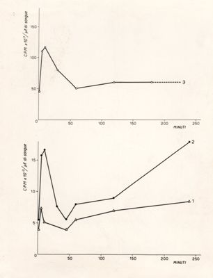 Diagrammi riguardanti la Radioattività del sangue di Blatta