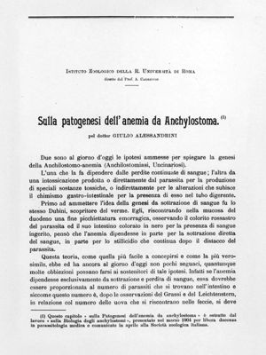 Lavoro Originale di Giulio Alessandrini sulla patogenesi dell'anemia da Anchilostoma 1904
