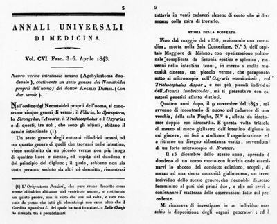 Lavoro e tavole originali diAngelo Dubini sull'Anchilostoma 1843
