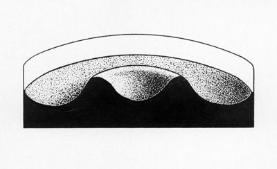 Capsula per cultura uova di Strongiloidei (sezione schematica)