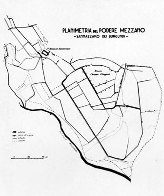 Zona infetta di spirochetosi